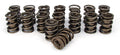 COMP Cams Valve Spring 1.625in CHR