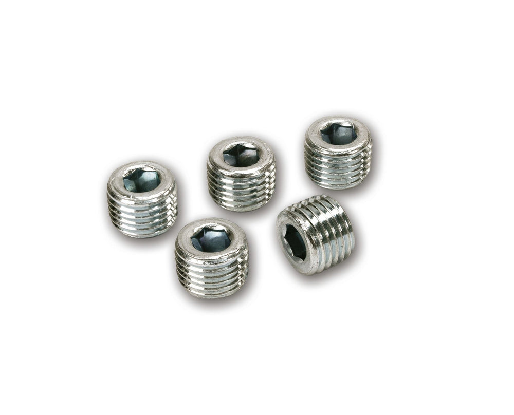 1/4IN NPT PLUGS(2PCS/BAG)