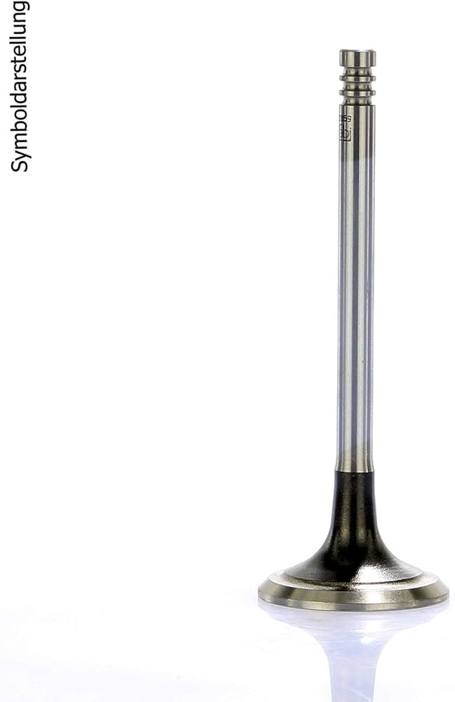 INTAKE VALVE