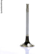 INTAKE VALVE