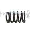 VALVE SPRING