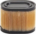 AIR FILTER TECUMSEH