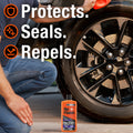 ARMOR ALL auto part