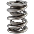 Valve Spring