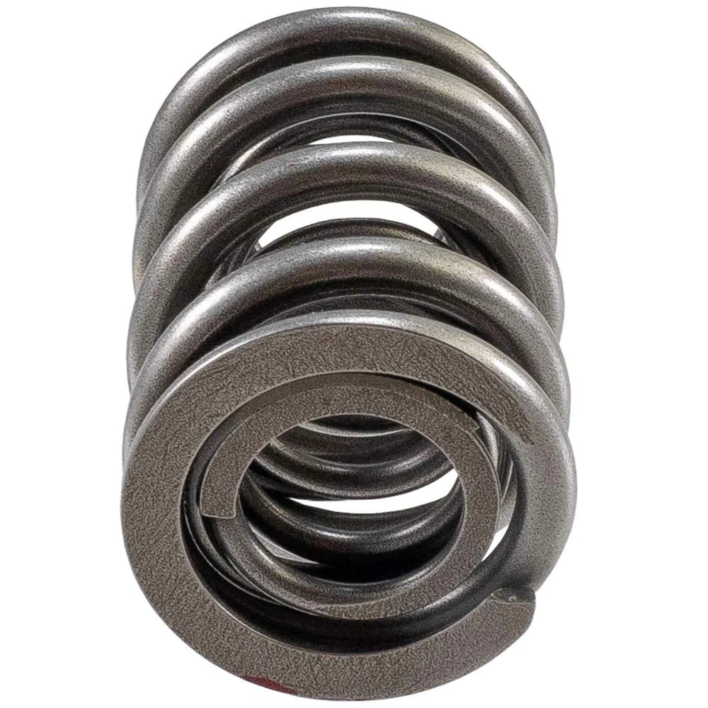 Valve Spring