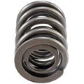 Valve Spring