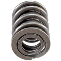 Valve Spring