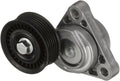 TERM QDC FEMALE NYAX SHR FULL 12-1