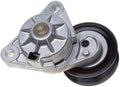 TERM QDC FEMALE NYAX SHR FULL 12-1