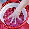 Chemical Guys Cyclone Dirt Trap Car Wash Bucket Insert - Red
