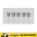 S/S Bolt Kit - 12pt. (5) 3/8-16 x .500