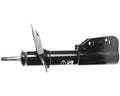 CURVED RADIATOR HOSE