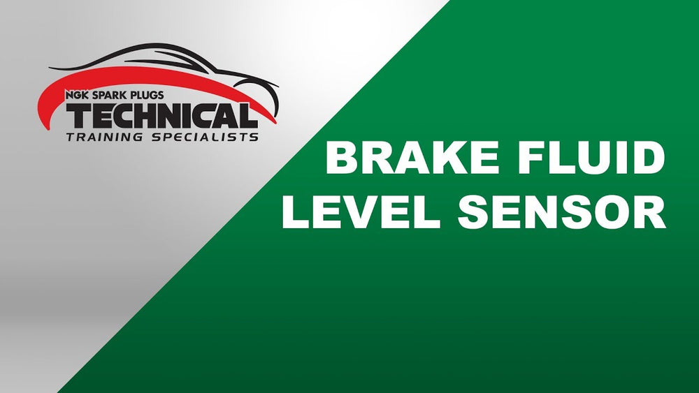 BRAKE FLUID LEVEL SENSOR