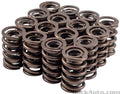 Valve Spring