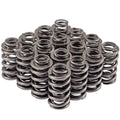 Valve Stem Oil Seal
