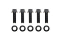 ARP M8 x 1.25 x 25 Black Oxide Hex Bolts (5/pkg)