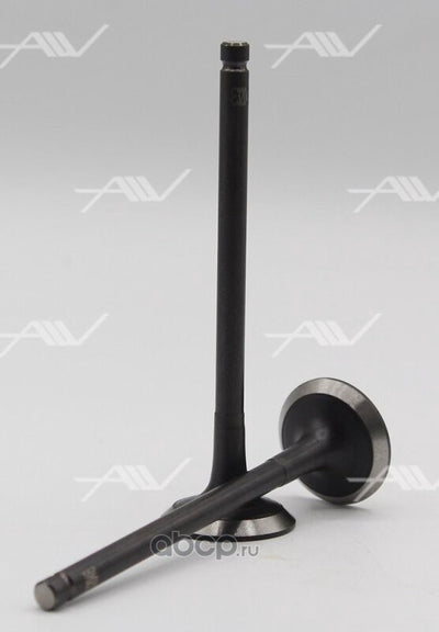 Mahle exhaust
