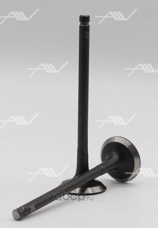 Mahle exhaust