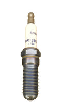Spark Plug Premium Evo