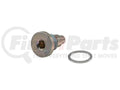 Timing Chain Guide Bolt