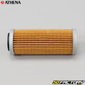 Athena 21-24 GASGAS EC 250 F Oil Filter
