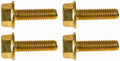 FLANGE CAP SCREW