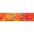 VBAND CLAMP GASKETS 4.00 IN 2/SET