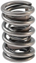 Valve Spring