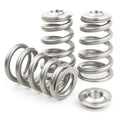 GSC P-D Universal Valve Spring