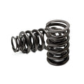 GSC P-D Universal Ovate Beehive Valve Spring