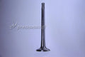 EXHAUST VALVE