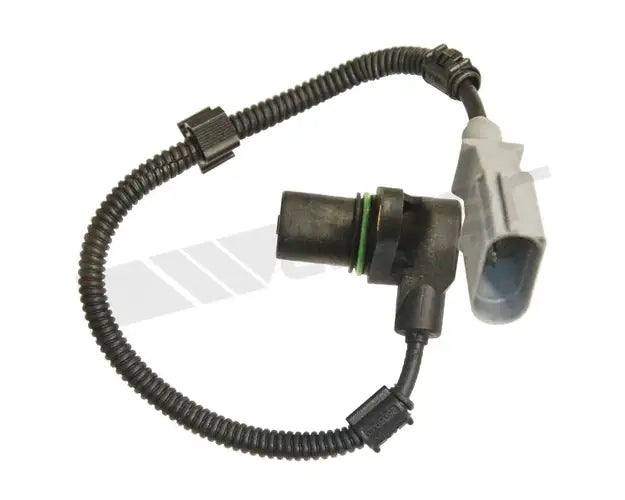 Walker Products Inc. - auto part