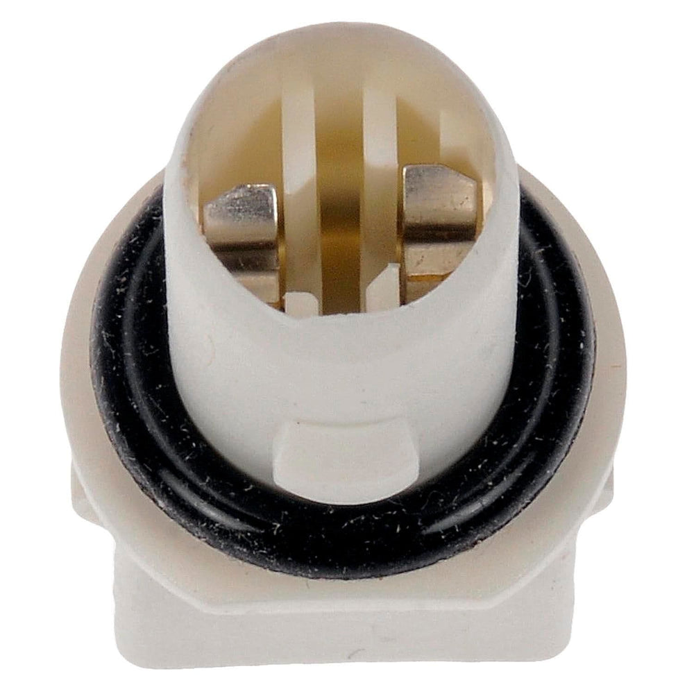 PIGTAIL OR SOCKET