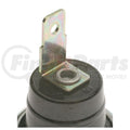 OIL PRESSURE SWITCH