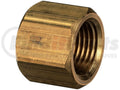 BRASS PIPE ADAPTER