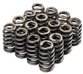 Valve Spring