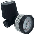 REGULATOR W/GAUGE 1/4 NPT