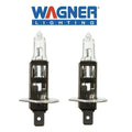 T-2 1/2 BULB 5/16" 8.5MM