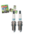 TT PLUGS