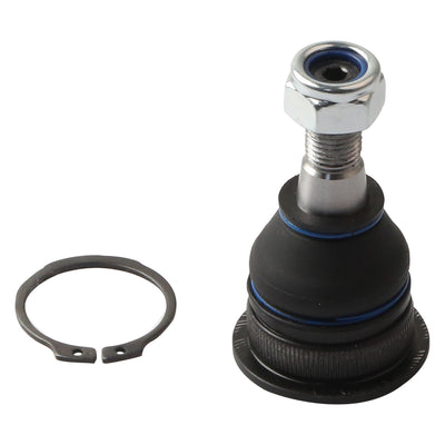 DELPHI auto part