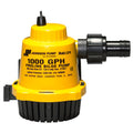 Johnson Pump intake system