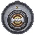 MOTORAD auto part close-up