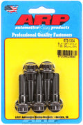 ARP 1/4in x 20 - 1.25in UHL 12pt SS Bolt (5/pkg)
