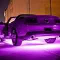 Oracle Exterior Flex LED 12in Strip - UV/Purple