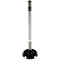 Exhaust Valve