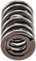 Valve Spring