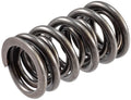 Valve Spring