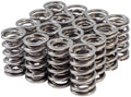VALVE SPRING KIT