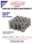 VALVE SPRING KIT