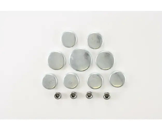 AMC V8 Freeze Plug Kit